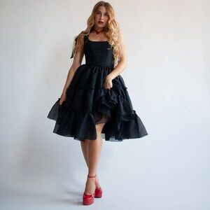 Wild Rose and Sparrow The Siena Dress in Black Swan Midi Size L NWT